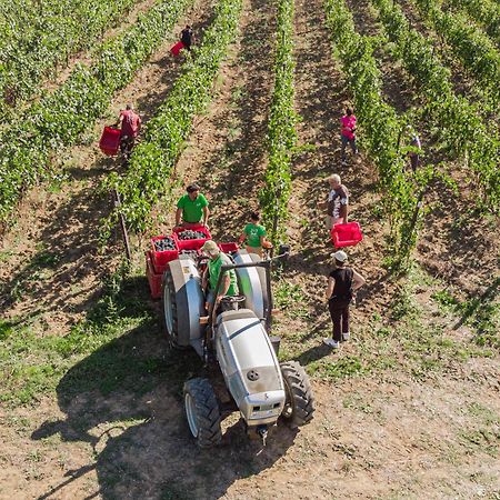 Il Querciolo - Azienda Biologica, Agriturismo E Cantina Marciano della Chiana Zewnętrze zdjęcie