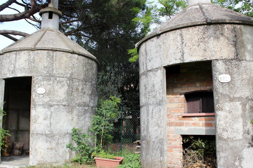 Il Querciolo - Azienda Biologica, Agriturismo E Cantina Marciano della Chiana Zewnętrze zdjęcie