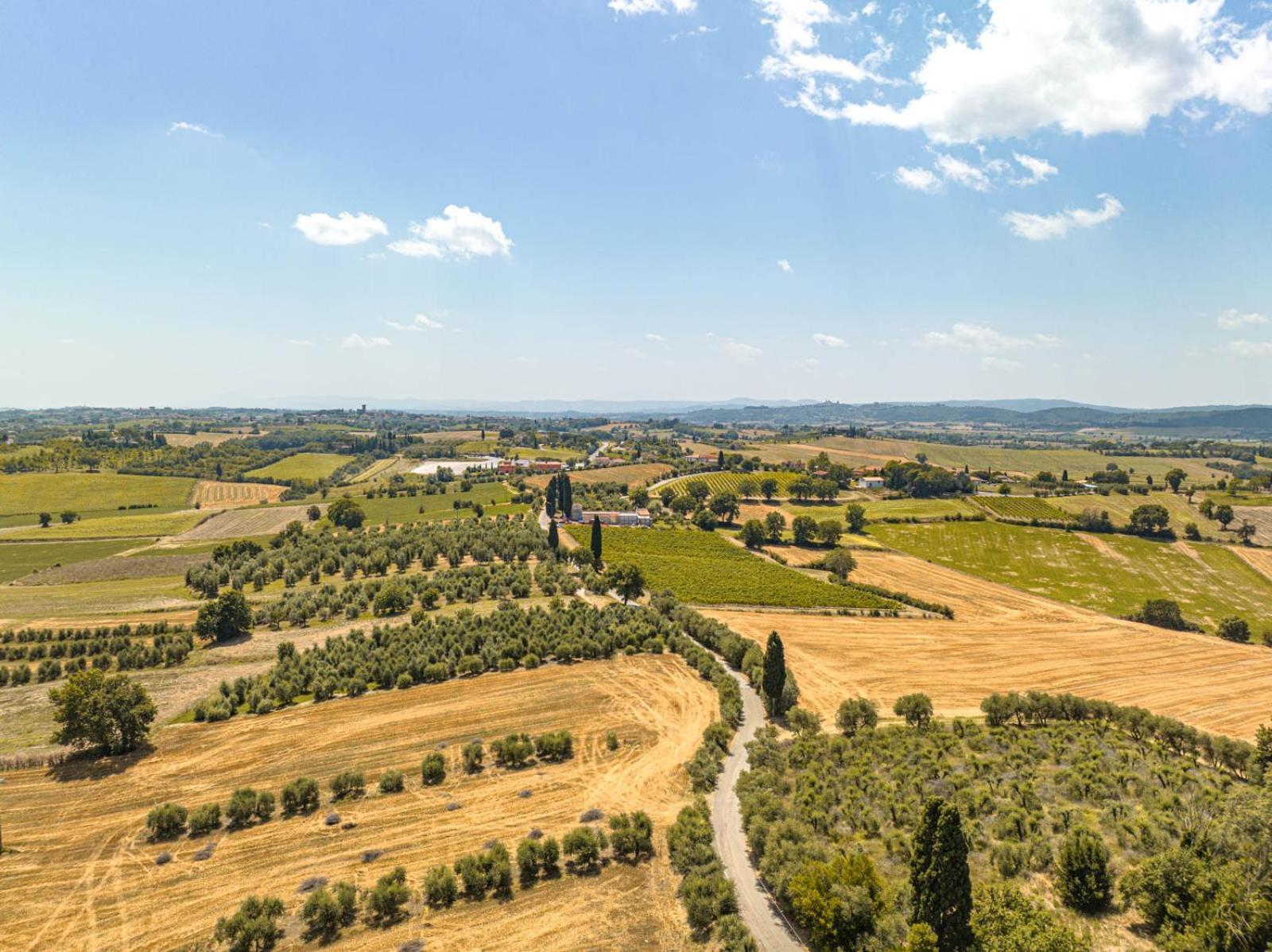 Il Querciolo - Azienda Biologica, Agriturismo E Cantina Marciano della Chiana Zewnętrze zdjęcie