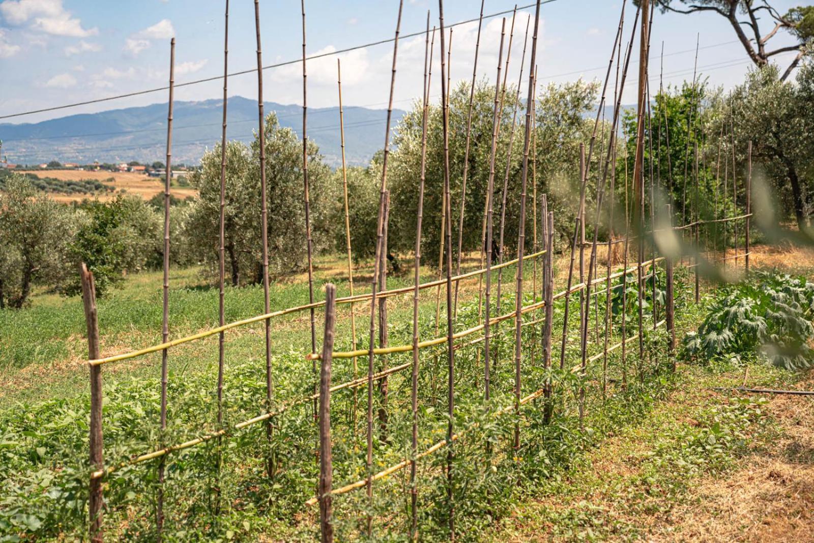 Il Querciolo - Azienda Biologica, Agriturismo E Cantina Marciano della Chiana Zewnętrze zdjęcie