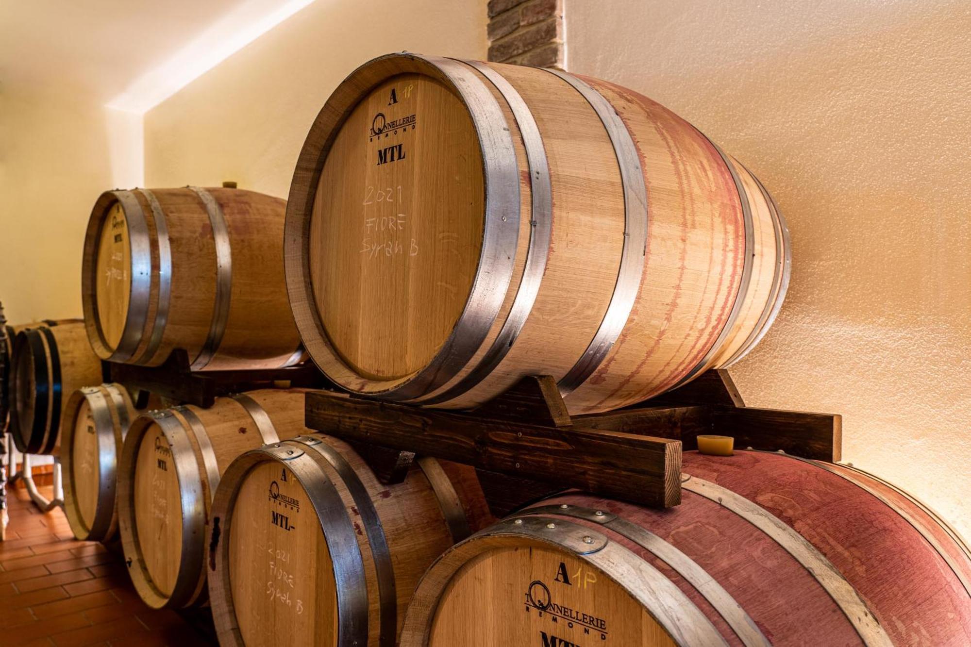 Il Querciolo - Azienda Biologica, Agriturismo E Cantina Marciano della Chiana Zewnętrze zdjęcie